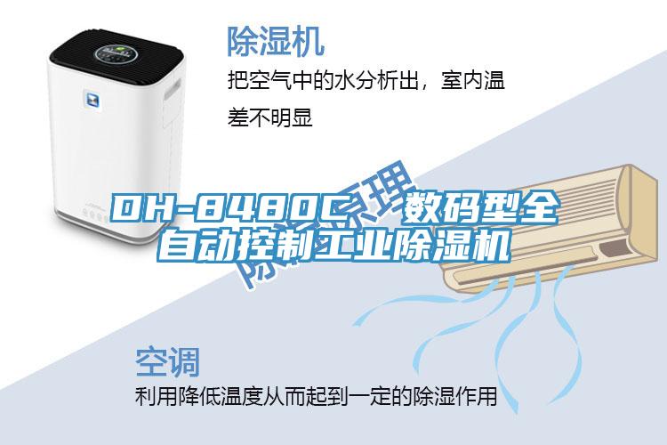 DH-8480C  数码型全自动控制工业91免费网站在线观看