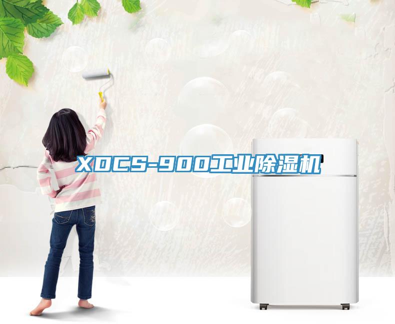 XDCS-900工业91免费网站在线观看