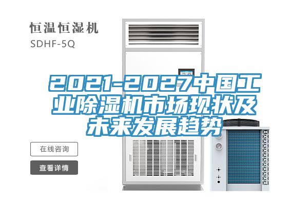 2021-2027中国工业91免费网站在线观看市场现状及未来发展趋势