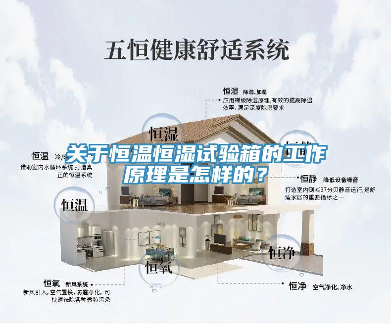 关于恒温恒湿试验箱的工作原理是怎样的？