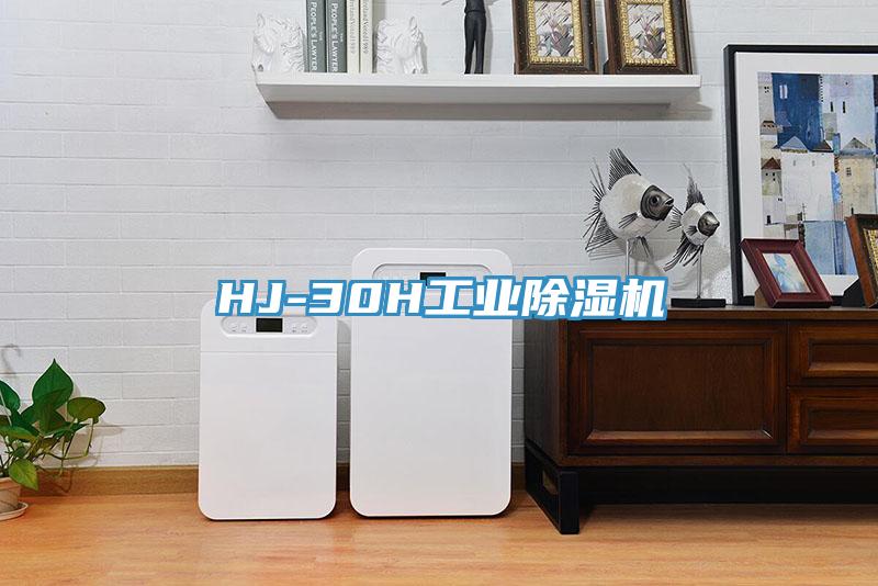 HJ-30H工业91免费网站在线观看