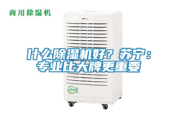 什么91免费网站在线观看好？苏宁：专业比大牌更重要