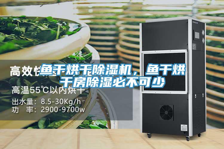 鱼干烘干91免费网站在线观看，鱼干烘干房除湿必不可少