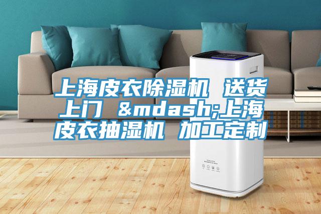 上海皮衣91免费网站在线观看 送货上门 —上海皮衣抽湿机 加工定制