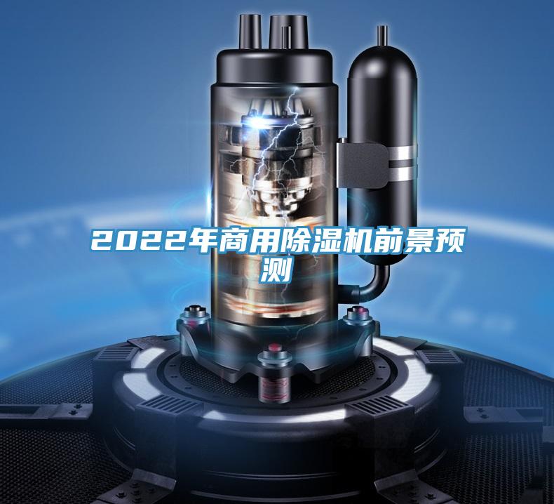 2022年商用91免费网站在线观看前景预测