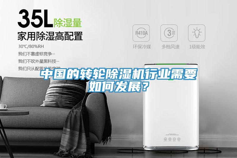 中国的转轮91免费网站在线观看行业需要如何发展？
