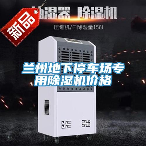 兰州地下停车场专用91免费网站在线观看价格