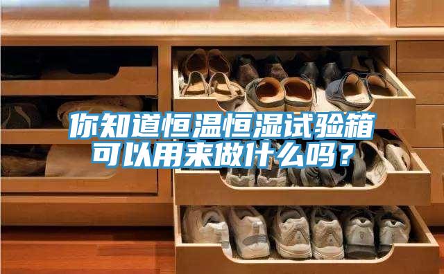 你知道恒温恒湿试验箱可以用来做什么吗？