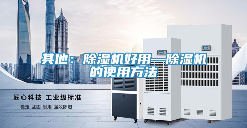 其他：91免费网站在线观看好用—91免费网站在线观看的使用方法