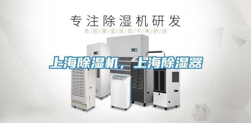 上海91免费网站在线观看，上海除湿器