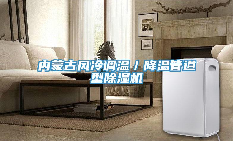 内蒙古风冷调温／降温管道型91免费网站在线观看