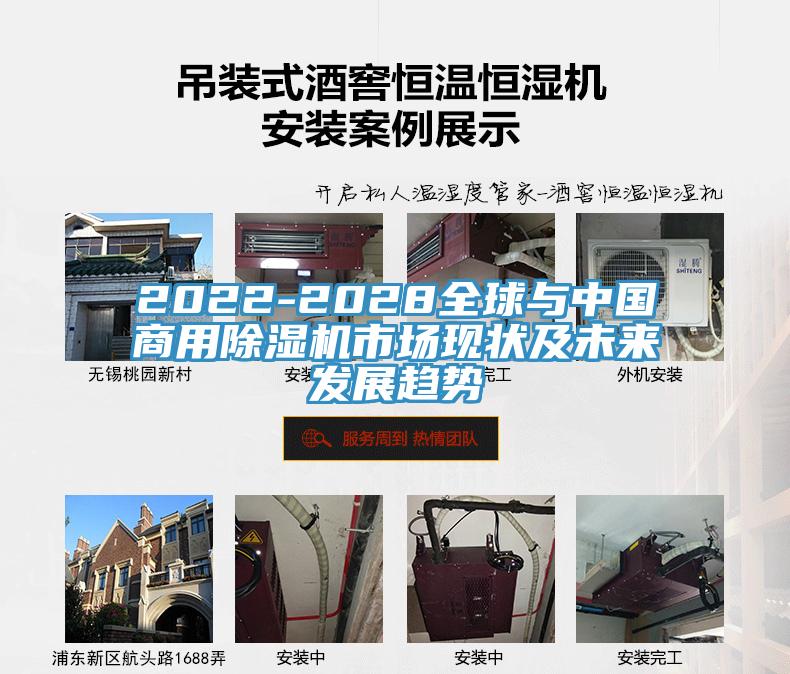 2022-2028全球与中国商用91免费网站在线观看市场现状及未来发展趋势