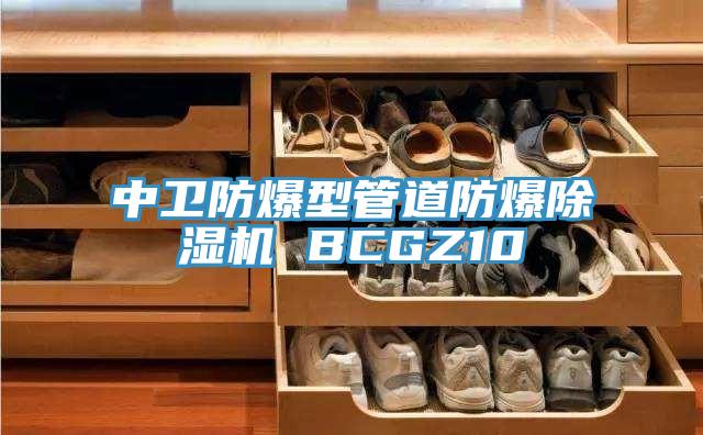 中卫防爆型管道防爆91免费网站在线观看 BCGZ10
