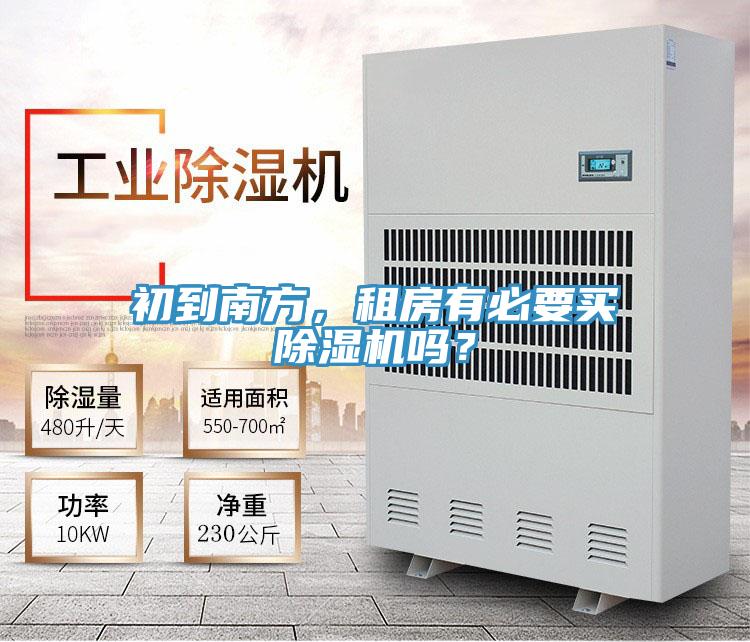 初到南方，租房有必要买91免费网站在线观看吗？