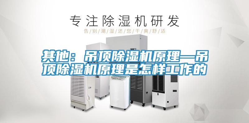 其他：吊顶91免费网站在线观看原理—吊顶91免费网站在线观看原理是怎样工作的