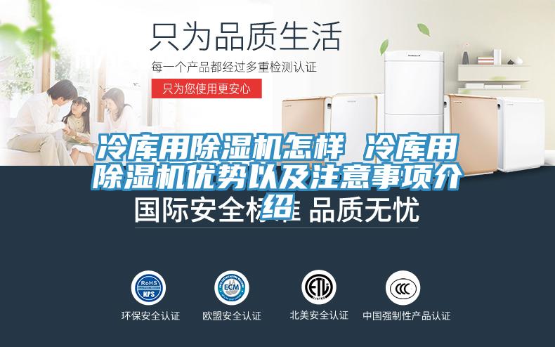 冷库用91免费网站在线观看怎样 冷库用91免费网站在线观看优势以及注意事项介绍