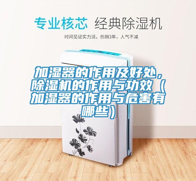 加湿器的作用及好处，91免费网站在线观看的作用与功效（加湿器的作用与危害有哪些）