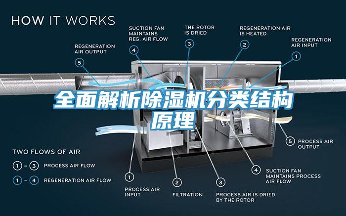 全面解析91免费网站在线观看分类结构原理
