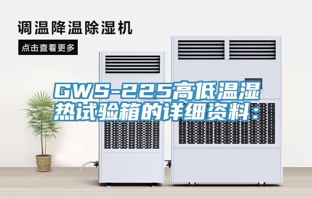 GWS-225高低温湿热试验箱的详细资料：