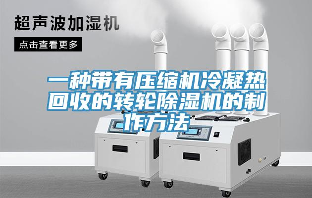 一种带有压缩机冷凝热回收的转轮91免费网站在线观看的制作方法