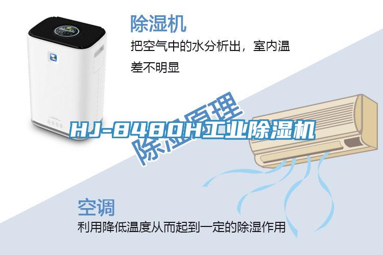 HJ-8480H工业91免费网站在线观看