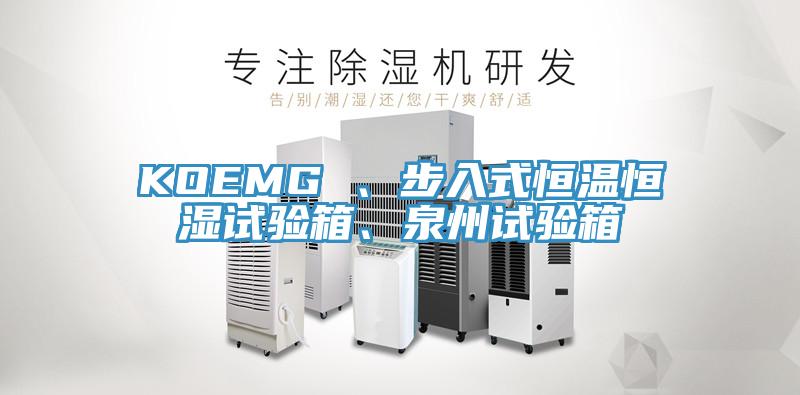 KOEMG 、步入式恒温恒湿试验箱、泉州试验箱