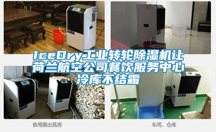 IceDry工业转轮91免费网站在线观看让荷兰航空公司餐饮服务中心冷库不结霜