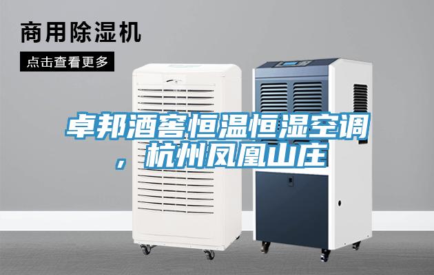 卓邦酒窖恒温恒湿空调，杭州凤凰山庄