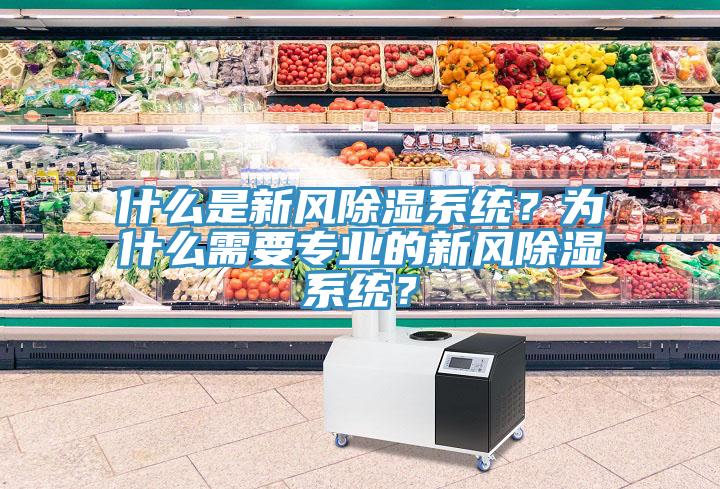 什么是新风除湿系统？为什么需要专业的新风除湿系统？