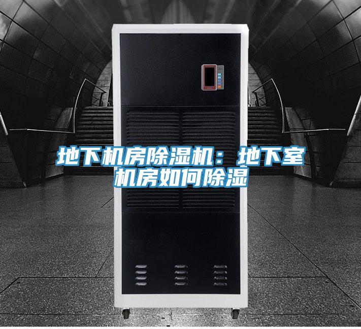 地下机房91免费网站在线观看：地下室机房如何除湿