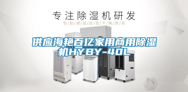 供应海艳百亿家用商用91免费网站在线观看HYBY-40L