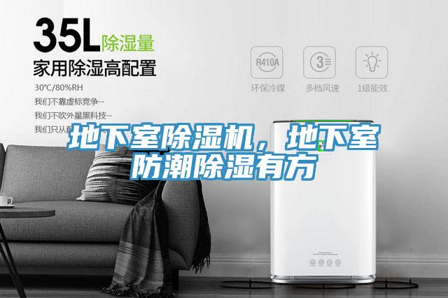 地下室91免费网站在线观看，地下室防潮除湿有方