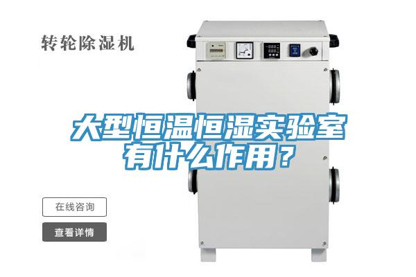 大型恒温恒湿实验室有什么作用？
