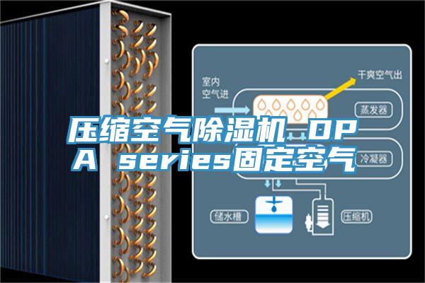 压缩空气91免费网站在线观看 DPA series固定空气