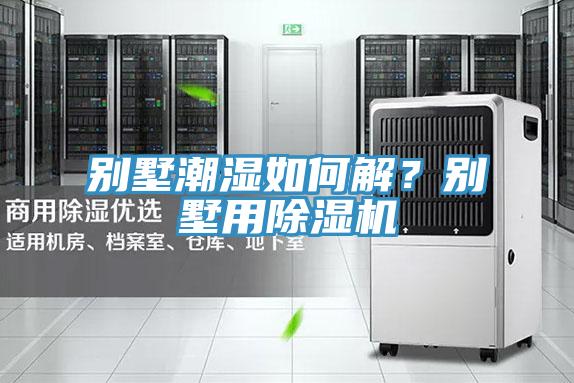 别墅潮湿如何解？别墅用91免费网站在线观看