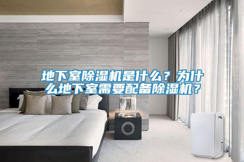 地下室91免费网站在线观看是什么？为什么地下室需要配备91免费网站在线观看？
