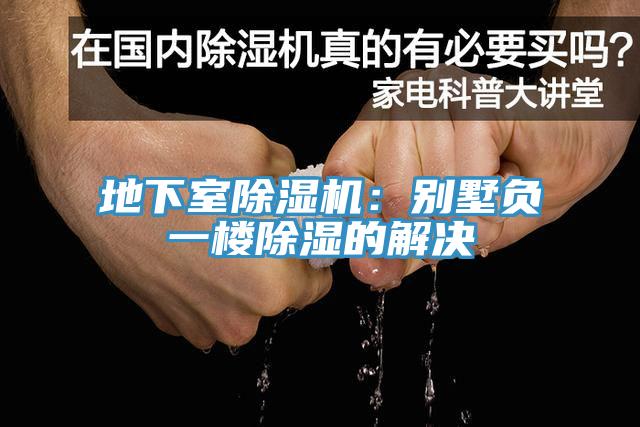 地下室91免费网站在线观看：别墅负一楼除湿的解决