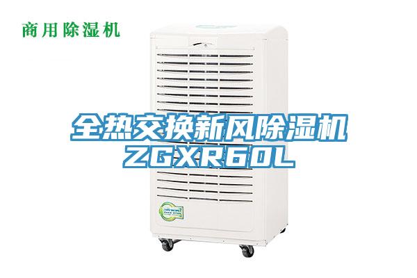 全热交换新风91免费网站在线观看ZGXR60L