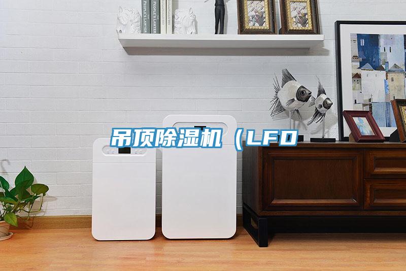 吊顶91免费网站在线观看（LFD