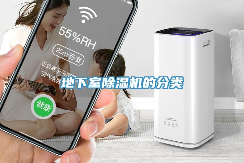 地下室91免费网站在线观看的分类
