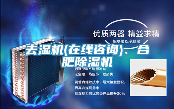 去湿机(在线咨询)、合肥91免费网站在线观看