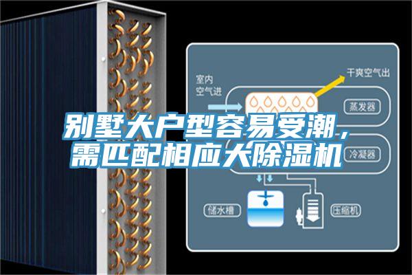别墅大户型容易受潮，需匹配相应大91免费网站在线观看