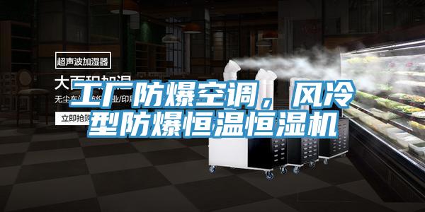 工厂防爆空调，风冷型防爆恒温恒湿机