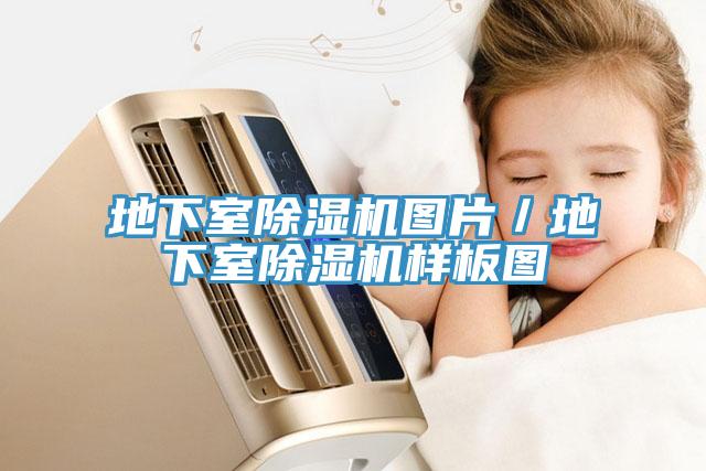 地下室91免费网站在线观看图片／地下室91免费网站在线观看样板图
