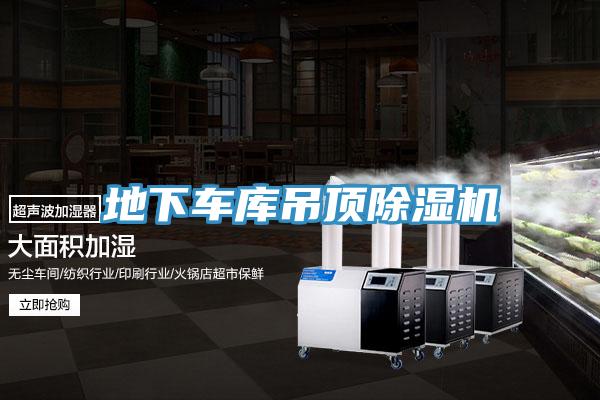 地下车库吊顶91免费网站在线观看