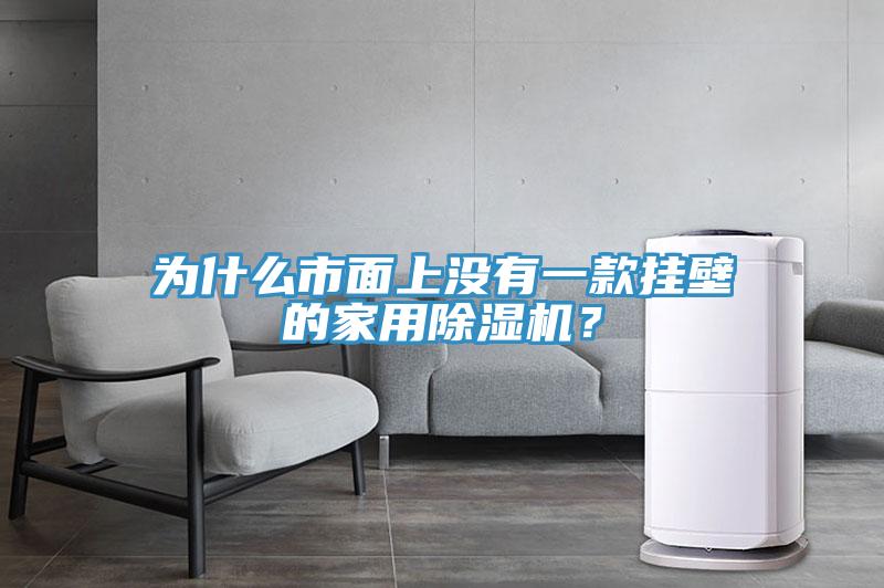 为什么市面上没有一款挂壁的家用91免费网站在线观看？