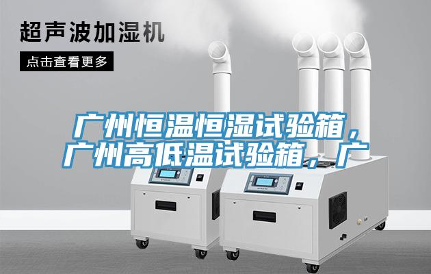 广州恒温恒湿试验箱，广州高低温试验箱，广
