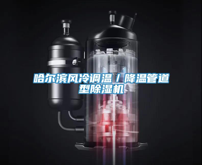 哈尔滨风冷调温／降温管道型91免费网站在线观看