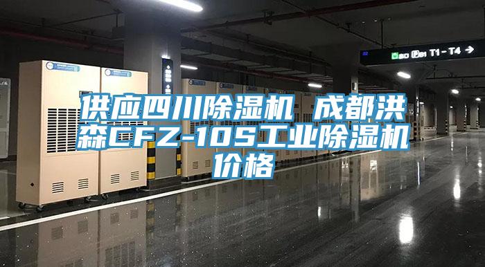 供应四川91免费网站在线观看 成都洪森CFZ-10S工业91免费网站在线观看价格