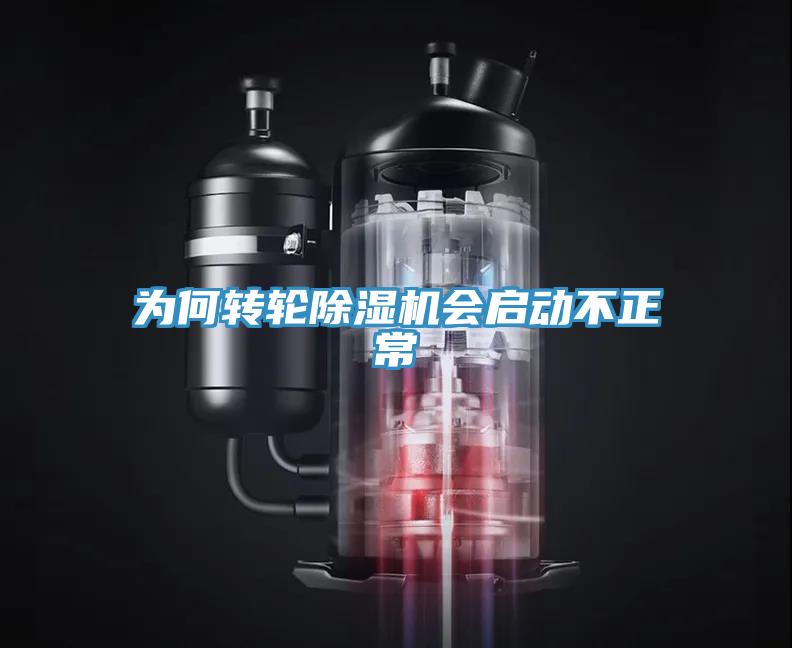 为何转轮91免费网站在线观看会启动不正常